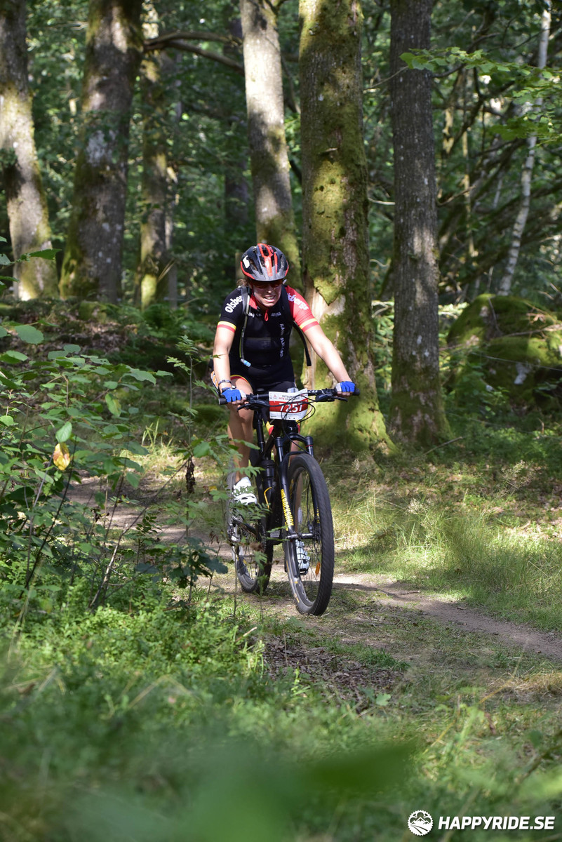 Bild från Bockstensturen 2019